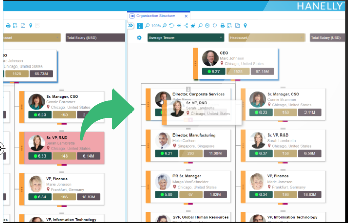 first Org Chart